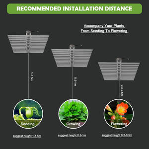 Lámpara de Cultivo LED de 720w, la Más Nueva de 2020, Hidropónica Profesional, Alta Eficiencia, 2.7umol <span class=keywords><strong>Osra</strong></span>, Misma Temperatura de Color 3500K 6500K, Lámpara de Cultivo LED COB - Product Image 4