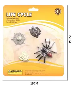 시뮬레이션 곤충 교육 교육 도구 조기 학습 장난감 성장 사이클 생활 거미 꿀벌 곤충