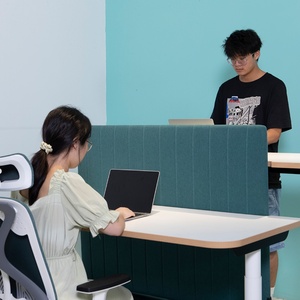 Factory Direct Sale Electric Stand up Workstation <b>Table</b> <b>Height</b> <b>Adjustable</b> Ergonomic Standing Desk - Product Image 5