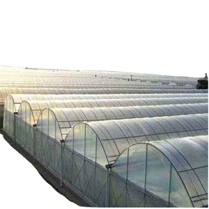 Serre Agricole Tunnel JP Multi-Travée Économique en Film Plastique pour Fraises <span class=keywords><strong>Tomates</strong></span>, Protection Agricole - Product Image 1