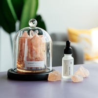 Diffuseur de cristal de sel rose en forme de cloche transparente, coffret cadeau pour une ambiance chaleureuse dans la chambre à coucher