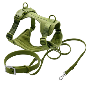 Harnais et laisse ajustables et imperméables pour chien et chat, avec boucle personnalisée, confortables, toutes saisons, en PVC. - Product Image 2