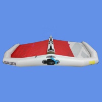 Kinma 2.0m Haute Qualité Wingsurfer pour Hydrofoil Board Wings Surf Foil Wing