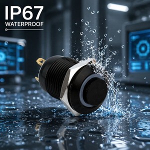 12mm Push Button <strong>Switch</strong> Momentary 3V 5V Blue Red Green Led SPST 12mm 1/2" Mounting Hole Black Aluminum Oxide Metal Push <strong>Switch</strong> - Product Image 4