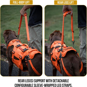 Arnés de elevación <span class=keywords><strong>para</strong></span> <span class=keywords><strong>perros</strong></span> grandes, soporte de cadera <span class=keywords><strong>para</strong></span> <span class=keywords><strong>perros</strong></span>, elevador de cuerpo completo con asas, asistente de movilidad multifuncional Invictus - Product Image 6
