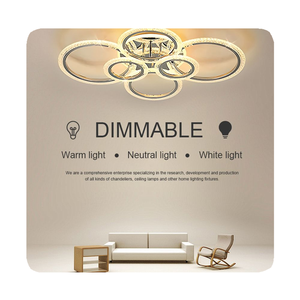 New Hot Bán nhà hàng bề mặt gắn trần Vòng Đèn LED trần ánh sáng cổ điển - Product Image 5