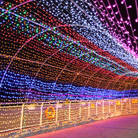 Guirlandes lumineuses LED en plastique imperméables pour intérieur/extérieur, 10 m, pour mariage, fête, festival, décoration d'arbre de Noël