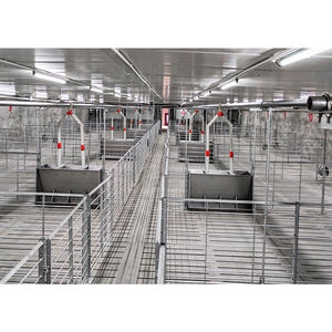 Comedero Automático para Cerdos de Acero Inoxidable, Precio de Fábrica, Duradero - Product Image 3