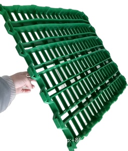 600*600mm cabra plástico listón piso oveja estiércol fuga rejilla estera aves estiércol evacuación tira tablero Placa de malla - Product Image 5