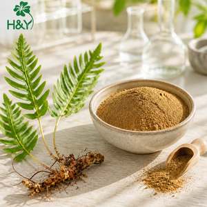 Estratto di Polypodium Leucotomos Naturale di Alta Qualità e Alta Concentrazione in Polvere, Direttamente dalla Fabbrica - Product Image 1