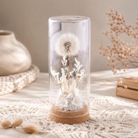 Dôme carré de fleurs de pissenlit stabilisées, décoration botanique de bureau, longue durée (3-5 ans), cadeau souvenir pour la Saint-Valentin