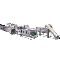 Longue ligne automatique de frites de pommes de terre surgelées pour frites bonbons fruits légumes fruits de mer emballage friteuse faisant la machine