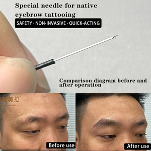 Agujas de Precisión para Implante de Cejas de Fábrica Directa - Tubo Hueco Médico, Estériles, Solución a Granel para Proveedores de Tatuajes - Product Image 2