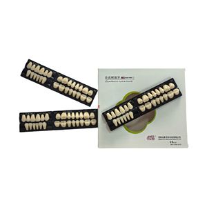 Caiyu Handmatige Stroombron Tand Valse Tanden Volledige <span class=keywords><strong>Set</strong></span> Twee Lagen Fabrieksprijs Acrylhars Tanden Van De Fabrikant - Product Image 2