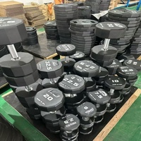 Set Dumbbell Ergonomis Anti-Selip Sepuluh Sudut untuk Penggunaan di Rumah, Peralatan Kebugaran Gym, Latihan Kekuatan Seluruh Tubuh Unisex Kustom
