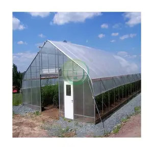 Manufacturing PC/Plastic Sheet High Quality Single-Span Agricultural Greenhouses