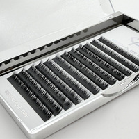 Extensions de cils Volume Easy Fanning en faux vison, effet éventail facile, naturelles, en plateau