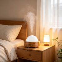 Diffuseur d'arômes ultrasonique de table, type USB, facile à déplacer, avec lumière nocturne à 7 couleurs, humidificateur d'huiles essentielles pour aromathérapie