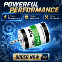 Motor DC Brushless BLDC Seri BB 36mm 12V 24V 5W 10W 15W dengan Driver dan Sensor Hall Terintegrasi, Dapat Disesuaikan untuk Peralatan Kecil