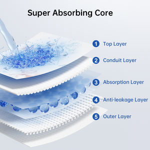 제조업체의 프리미엄 일회용 성인 바지 팬티 고흡수 ISO13485 CE FDA 승인 무료 샘플 인쇄 프리미엄 풀업 - Product Image 3