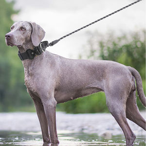 <span class=keywords><strong>Collar</strong></span> de perro táctico de alta calidad con asa, collares ajustables de alta resistencia para perros grandes, collares de nailon para entrenamiento de Color caramelo para mascotas - Product Image 1