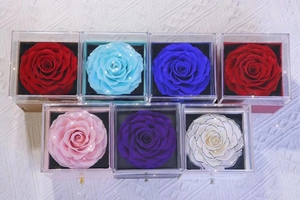Presente Do Dia Das Mães Dos Namorados Rosas Preservadas Em Caixa De Acrílico Caixa De Rosas Preservadas Com Eu Te Amo Presente De Colar - Product Image 6