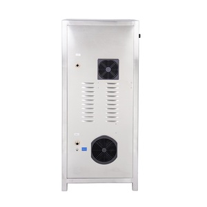 Generador de Ozono de 40g 50g 60g, Desinfectador de Ozono para Tratamiento de Agua - Product Image 4