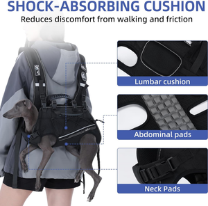 רתמת הרמה לכלבים איכותית, משלוח מהיר מארה\\\"ב, רב מכר, תרמיל נשיאה לכלבים לטיולים, מתאים לכלבים בגדלים שונים - Product Image 5