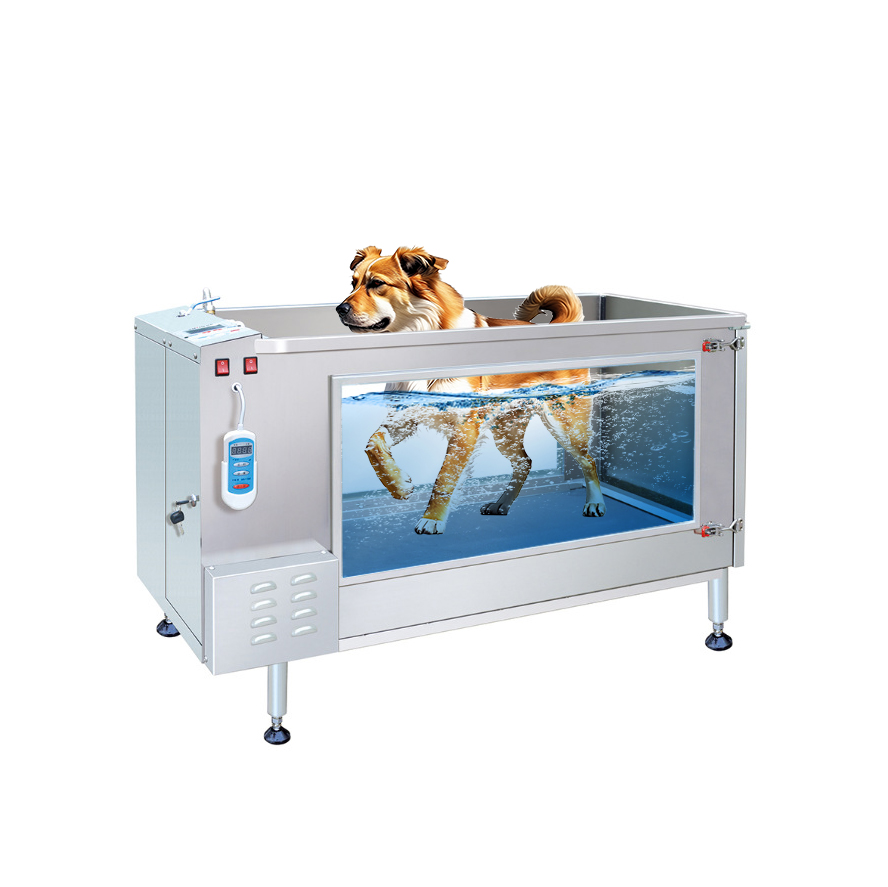 Canine Hydrotherapy Treadmill Used Canine Underwater Treadmill For