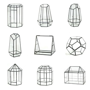 Dakang Dome Treo Nhà Máy Hình Học Loài Bò Sát Làm Hồ cạn Thủy Tinh Cho Các Nhà Máy Kit Container Thu Nhỏ Bán Buôn Với Nắp - Product Image 2