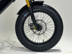 Bicicleta Eléctrica de Neumáticos Anchos de 20 Pulgadas con Batería de Litio de Gran Capacidad de 72 V, 7 Velocidades, Personalizable, de Alta Potencia, Nova con Doble Suspensión - Product Image 5