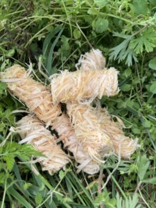 Encendedor de fuego ecológico de lana de madera natural con cera de <span class=keywords><strong>parafina</strong></span> amarilla, paquete a granel de 25 unidades, capacidad <1L, <span class=keywords><strong>para</strong></span> estufas de camping y barbacoas - Product Image 4