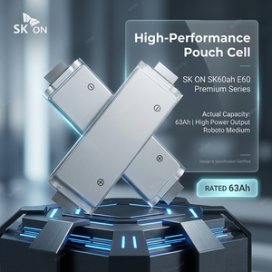 Sel Baterai Lithium SK 60Ah NMC Pouch Cell 3.7V Original Baru Kapasitas Tinggi - Product Image 4