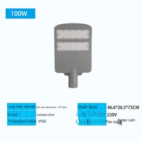 Lampadaire LED avec protection contre la foudre pour l'ingénierie municipale, nouveau lampadaire routier pour poteau télégraphique rural, indice de protection IP65