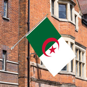 Drapeau de l'Algérie 3x5 pieds, double face, 3 plis, polyester robuste, bannière nationale algérienne pour extérieur, couleurs vives, œillets en laiton - Product Image 6