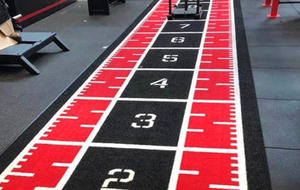 Gym Runway Pattern PP+PE <strong>Artificial</strong> <strong>Grass</strong> 20-50mm High Density Anti-Slip for Gateball Football Field Indoor Sports - Product Image 4