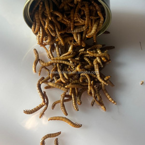 Vers de farine frais en conserve, riches en protéines, nourriture prête à l'emploi pour poissons d'aquarium, vente en gros pour reptiles et oiseaux, aliment naturel riche en protéines - Product Image 2