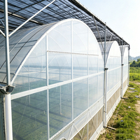 Système de ventilation automatique pour serre avec ouvre-fenêtre motorisé, générateur de CO2, éclairage, ventilateur et accessoire de construction à fil flexible