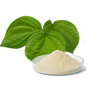 Extracto de Romero con 10% de Ácido Carnósico, Antioxidante Natural de Grado Alimenticio para Productos Cárnicos, Fabricado en Fábrica - Product Image 5