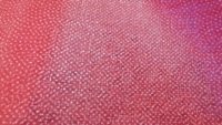 Entoilage thermocollant non tissé en fibres recyclées écologiques 35GSM, 100% polyester, tissu coloré PES à double point, thermocollant pour vêtements