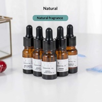 10Ml Minyak Esensial Hotel Coklat Merah Aromaterapi Kamar Tidur Lavender Tanaman Dupa Pelembap Udara Larut Dalam Air Botol Penetes Udara Segar