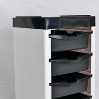 Chariot de salon professionnel en acier inoxydable, 5 niveaux de rangement, 4 roues, design moderne pour salons de beauté, barbiers, salon