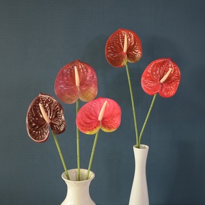 LUYI Nuevas Plantas Artificiales de Látex con Tacto Real, Ramas Individuales de Anturio, Flores al por Mayor para Decoración de Bodas y Hogar - Product Image 3