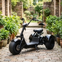 Güçlü 2000W Alüminyum Gövdeli Şişman Lastikli Elektrikli Üç Tekerlekli Bisiklet 3 Tekerlekli Citycoco 60V 40AH Lityum Bataryalı Elektrikli Scooter