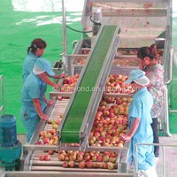 Vruchtensap Productie Kleine Hoge Snelheid Avocado Sorteren Machine