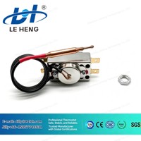 Vente Flash : Thermostat capillaire à réinitialisation manuelle série WQS KSD en acier inoxydable pour chaudière électrique à chauffage rapide, usage domestique et commercial