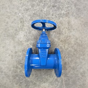 Vanne à opercule Z45X DN100 en fonte à siège flexible, à opercule unique, pour coupure d'eau basse pression - Product Image 2