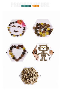 NOUVEAU NEAT Extrudeuse automatique de nourriture pour chiens 1200 avec moteur, pompe à engrenages PLC et moteur, haute efficacité, performance stable, 380V - Product Image 6