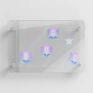 مخصص شفافة id طباعة فوقية مجسمة شعار lumineux التسمية ملصقا ترخيص التصوير المجسم تراكب ل PVC بطاقات الهوية