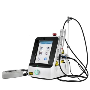 <span class=keywords><strong>Laser</strong></span> Diode Veteriner Berkualitas Tinggi untuk Penggunaan Veteriner - Product Image 1